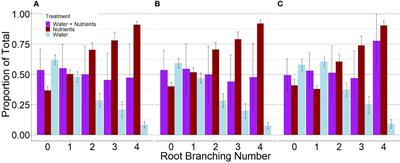 Perennial grass root system specializes for multiple resource acquisitions with differential elongation and branching patterns